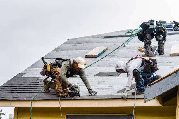 Professional Gutter Installation technician working in Albany, MN